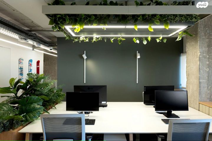 משרדים, גני שרונה, קרית הממשלה, תל אביב יפו