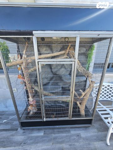 תמונת מודעה - חיות מחמד