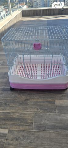 תמונת מודעה - חיות מחמד