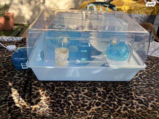 תמונת מודעה - חיות מחמד