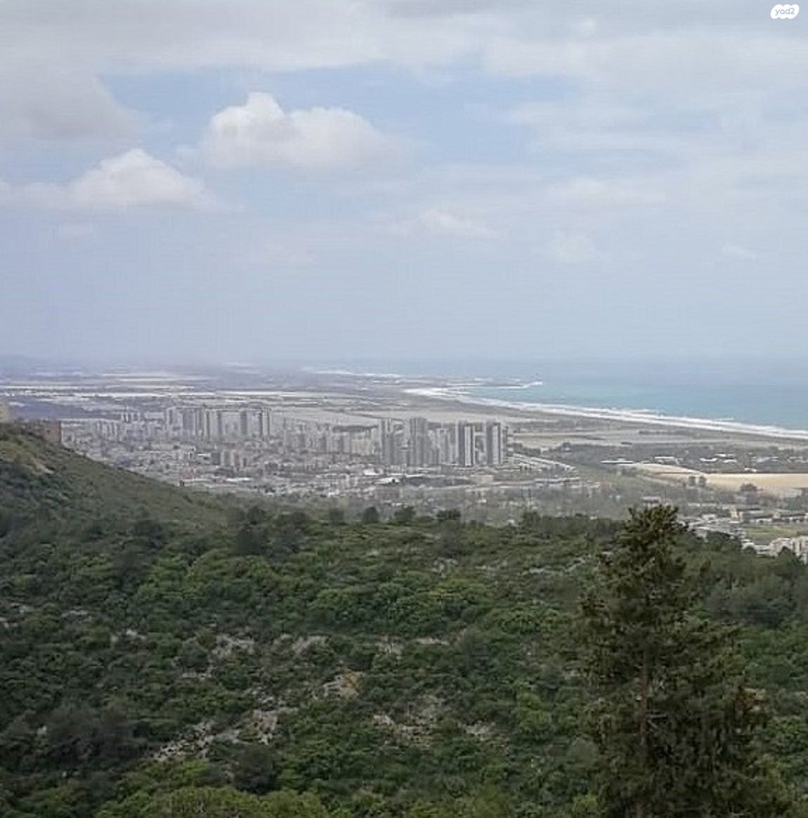רות 17