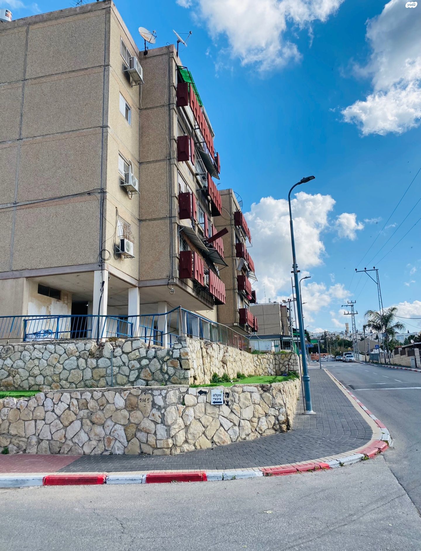 הגפן 