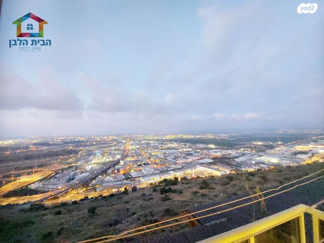 יעקב סלומון 