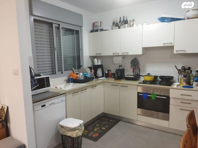 שלמה גולדין 