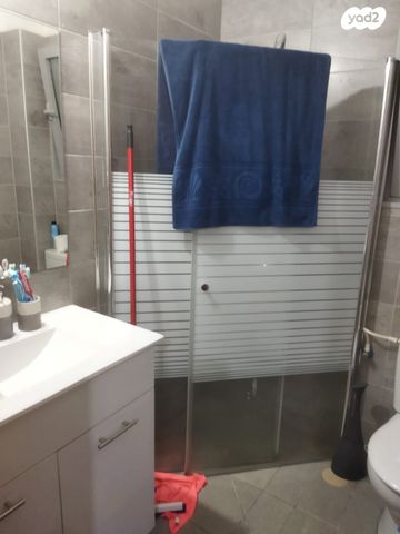 דירה, שלמה גולדין, ג' / מרכז מזרח העיר, רחובות