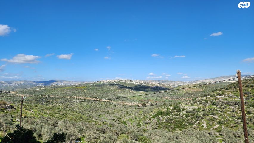 דו משפחתי