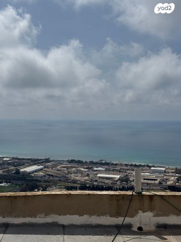 דירה, ויצ"ו, כרמליה, חיפה