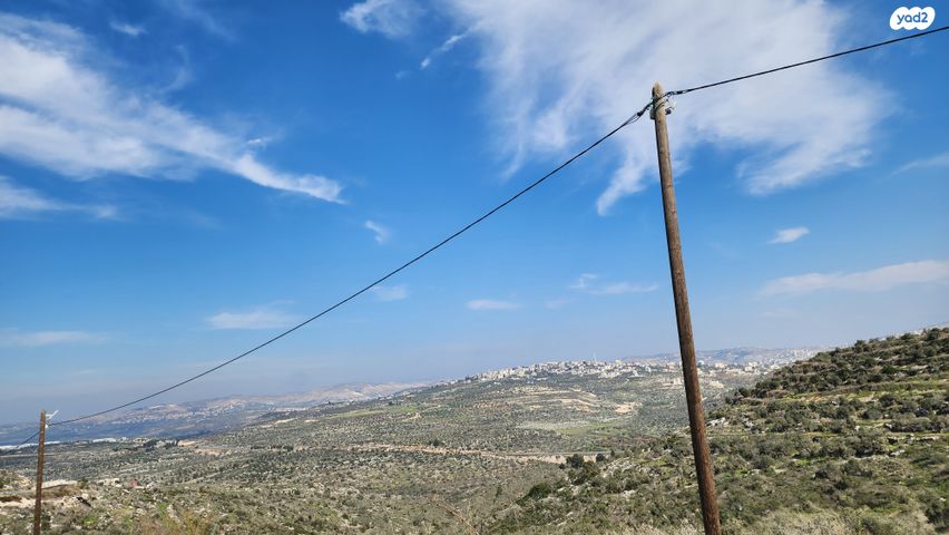 דו משפחתי