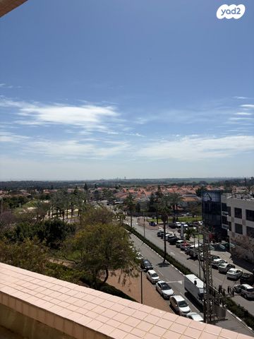 אמנון ותמר 15