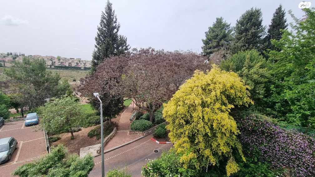 רמת יקנעם