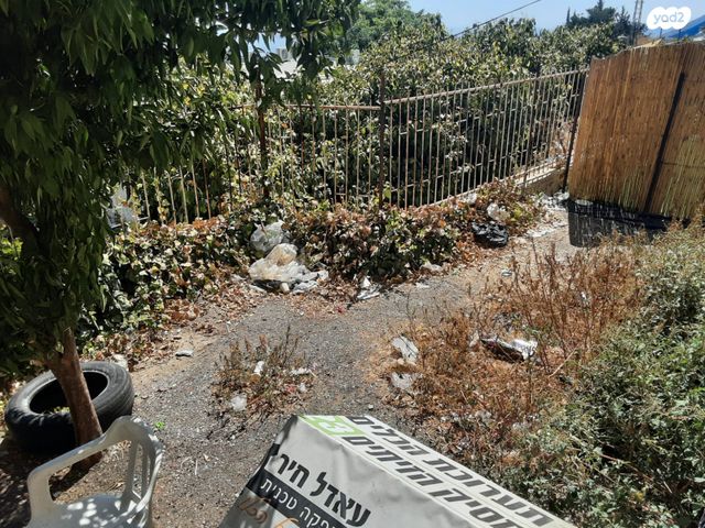 דירת גן, דוד רמז, דרום, צפת