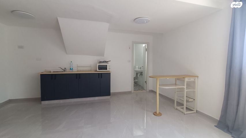 אהוד קינמון 