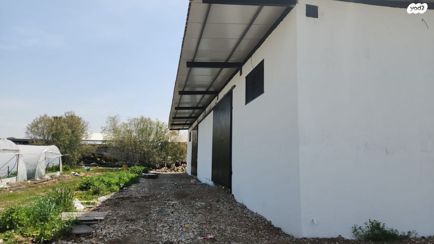 מחסנים, ניצני עוז