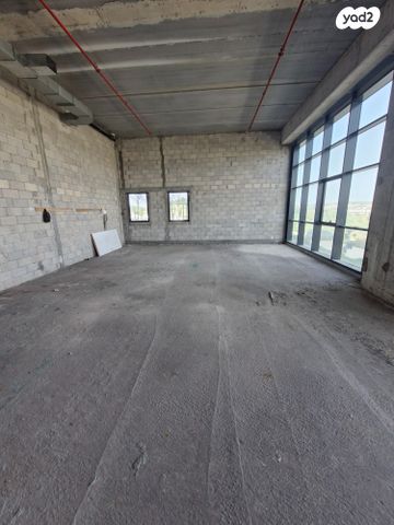 משרדים, שביט 8, שאר העיר, נס ציונה