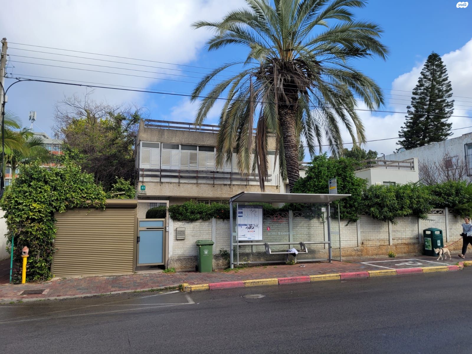 אלוף דוד 41