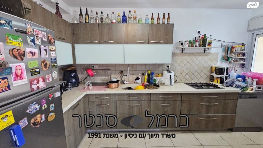 דירה, עמוס, בן דור, נשר