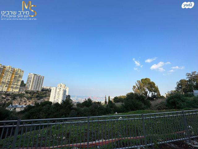 דירת גן, ורדיה, חיפה