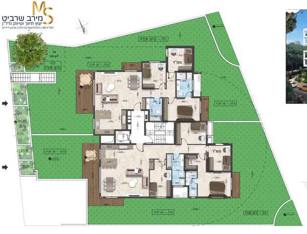 דירת גן, כרמליה, חיפה