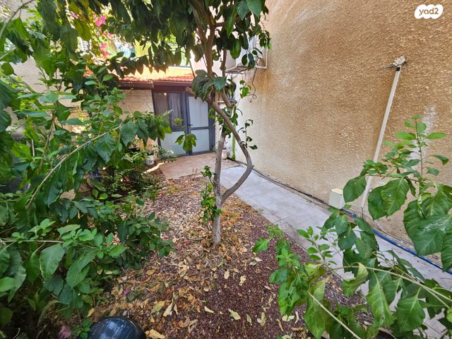 דירת גן, סמדר, הגליל, כרמיאל