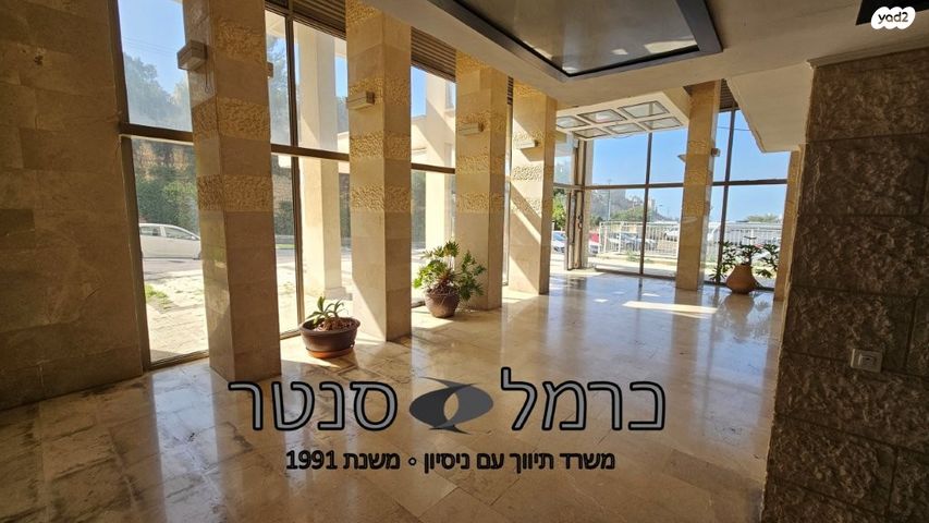 דירה, עמוס, בן דור, נשר