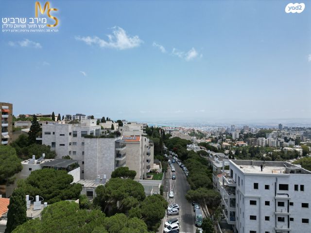 דירה, בנימין ד'ישראלי, אחוזה, חיפה