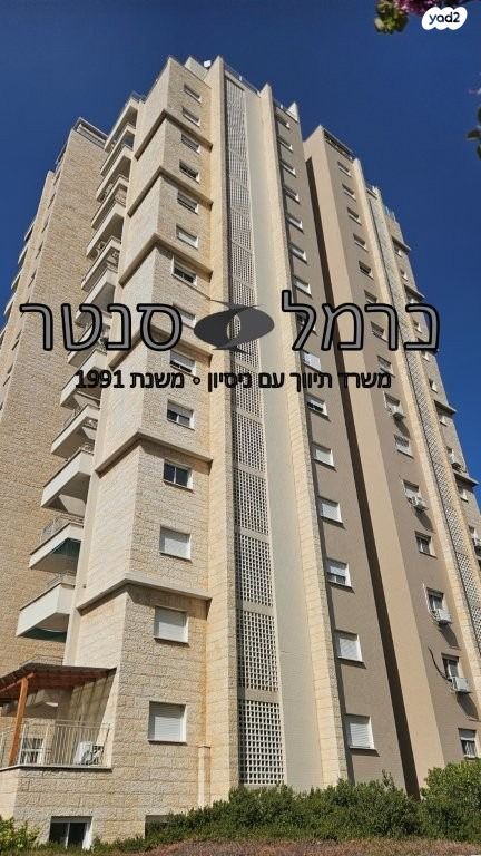 דירה, עמוס, בן דור, נשר