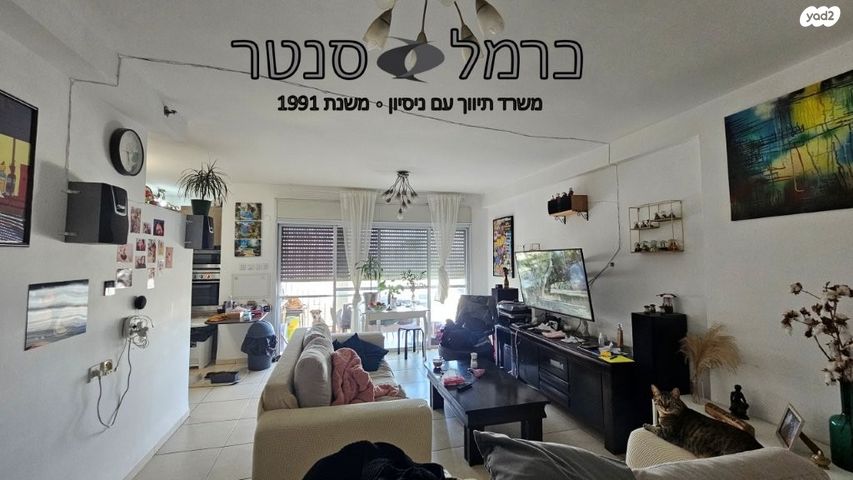 דירה, עמוס, בן דור, נשר