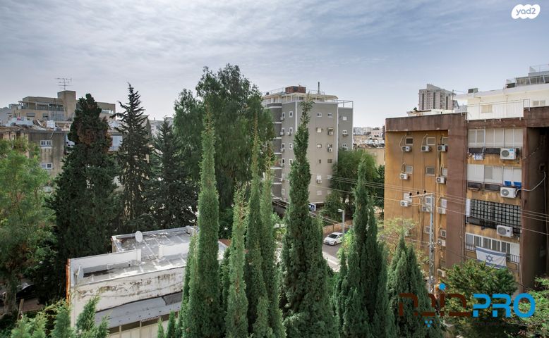 דופלקס, שמריהו לוין, אברמוביץ', ראשון לציון