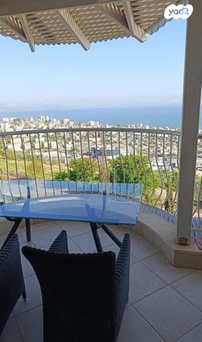צאלון 12