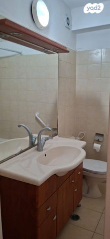 יחידת דיור, שמשית