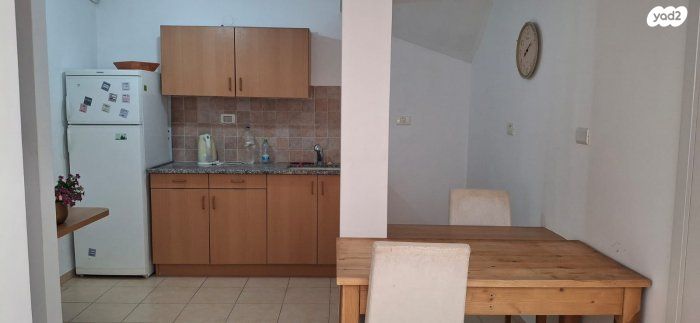 יחידת דיור, שמשית