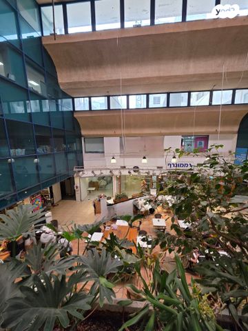 משרדים, אחוזה, מרכז דרום, רעננה