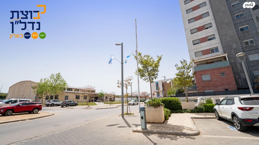 דירה, אהבת אדם, שרונה, כפר יונה