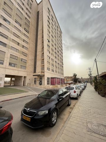 אלכסנדר ינאי 