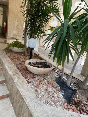 דירה, הפרדס 18, הדר, רמת השרון