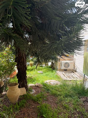 דופלקס, ירושלים