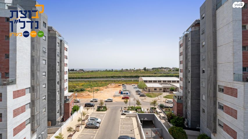 דירה, אהבת אדם, שרונה, כפר יונה