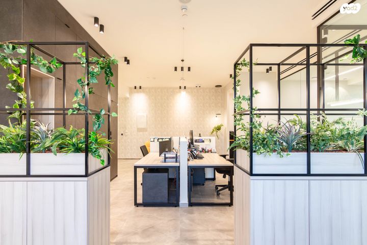 משרדים, פרופ' אברהם פצ'ורניק 5, שאר העיר, נס ציונה