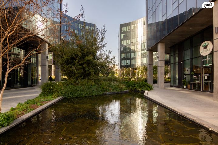 משרדים, פרופ' אברהם פצ'ורניק 5, שאר העיר, נס ציונה