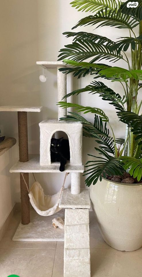 אביזרים | משחקים וצעצועים