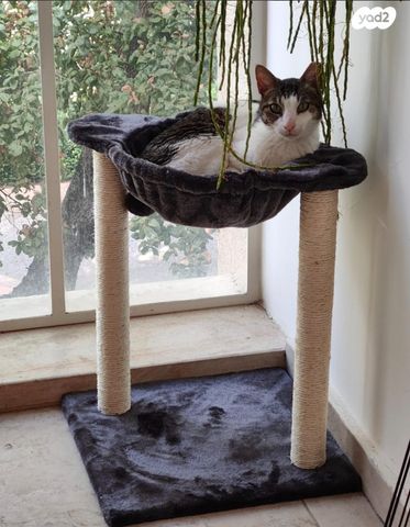 אביזרים | משחקים וצעצועים