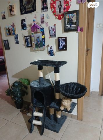 אביזרים | משחקים וצעצועים