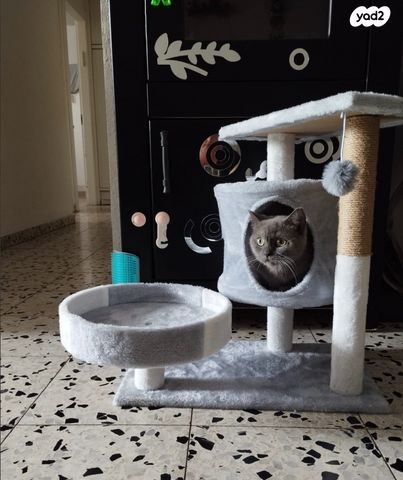 אביזרים | משחקים וצעצועים