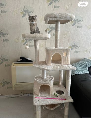 אביזרים | משחקים וצעצועים