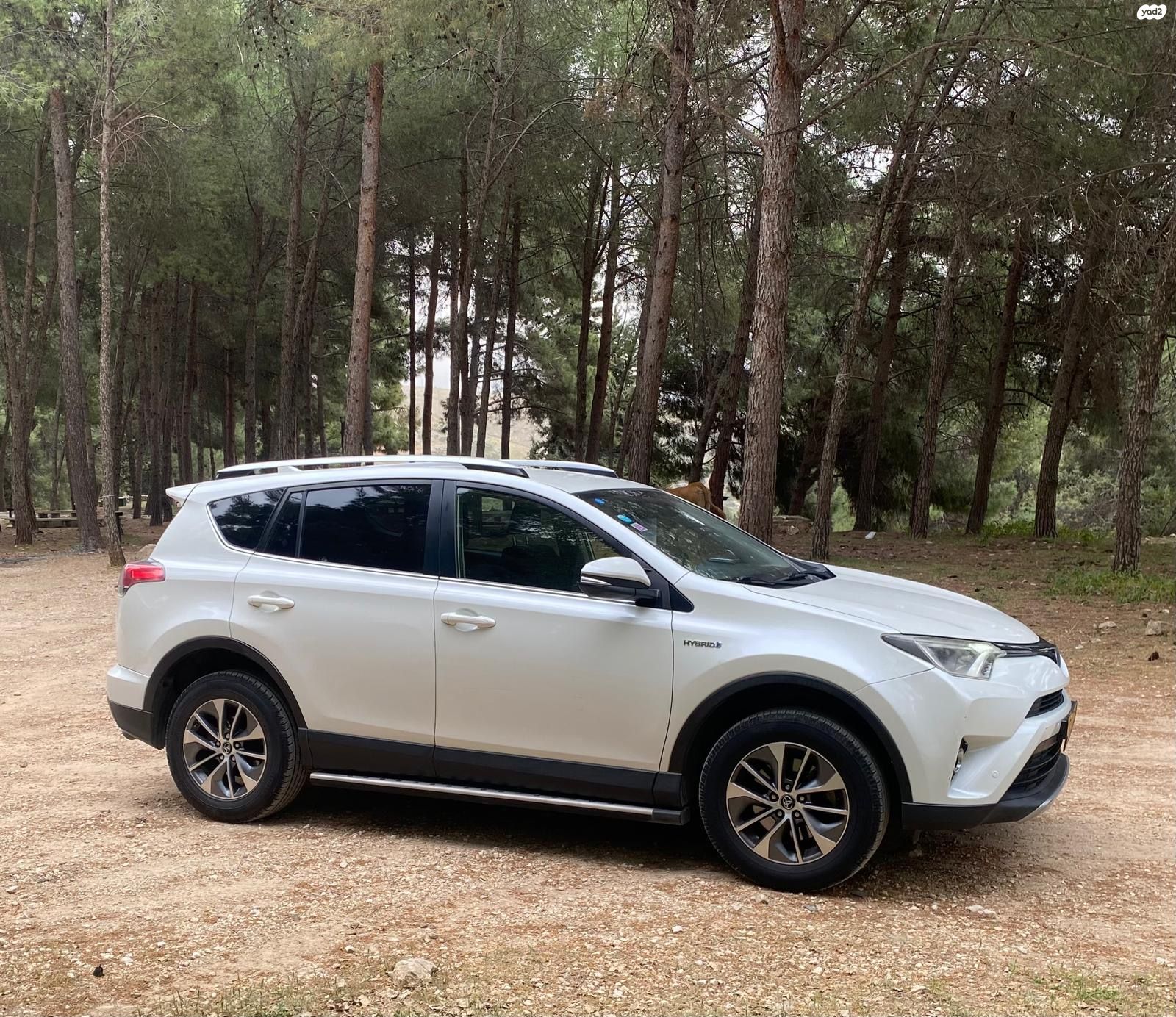 מודעת רכב טויוטה RAV4