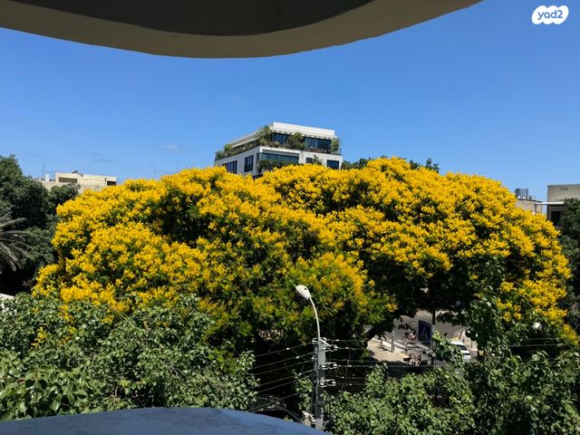 דירה, שדרות מסריק, הצפון הישן - דרום, תל אביב יפו