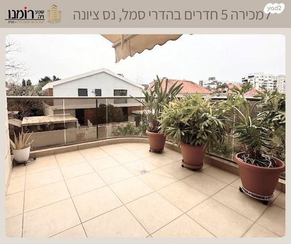 דירה, השייטת, הדרי סמל, נס ציונה