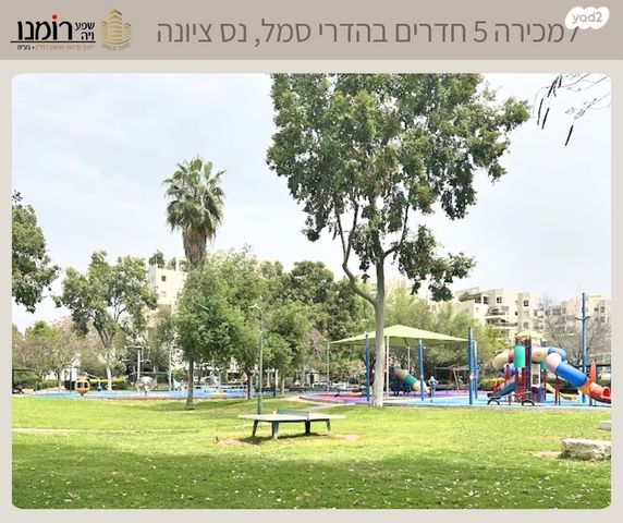 דירה, השייטת, הדרי סמל, נס ציונה