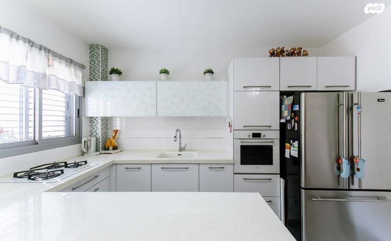 אלברט איינשטיין 