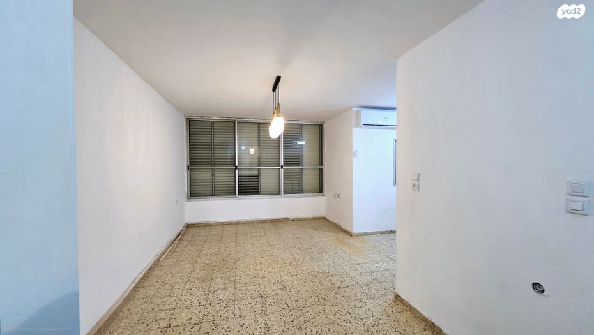 חיים צבי גרינשטיין 